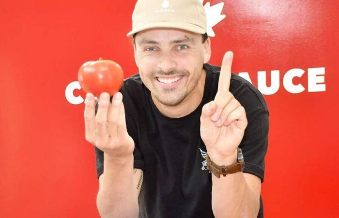 Quasi 2 milioni di dollari persi nell’avventura del ketchup del Quebec