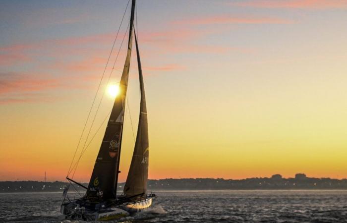 Questa volta Charlie Dalin ha davvero vinto il Vendée Globe!