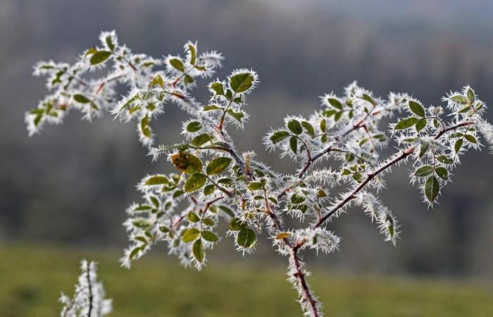 fino a -8.8°C nel Sud-Ovest, dove ieri sera è stato più freddo?