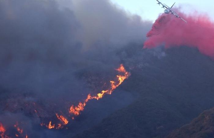 Incendi a Los Angeles: perché sono così devastanti?