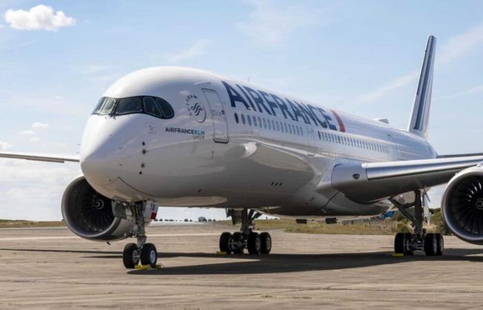 perché un aereo dell’Air France si chiamerà “Nîmes”?