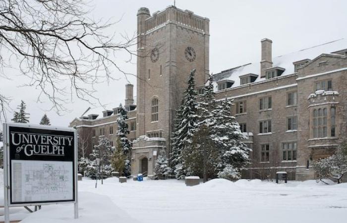 Almeno 234 casi di gastroenterite all’Università di Guelph