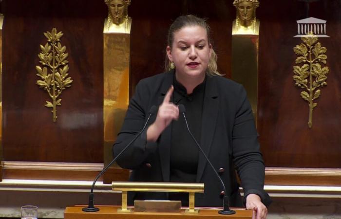 Mathilde Panot accusa il governo di “non rispettare nulla” e prende di mira Manuel Valls ed Élisabeth Borne