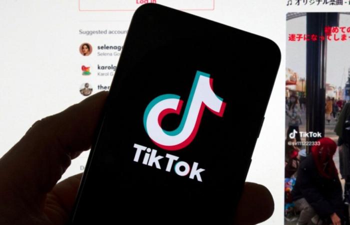 Musk in trattative per acquistare TikTok negli USA, “pura finzione”