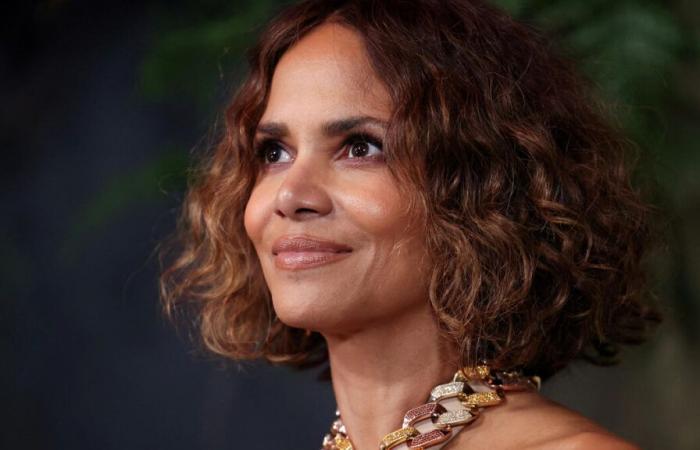 Halle Berry dona il suo intero guardaroba alle vittime degli incendi di Los Angeles