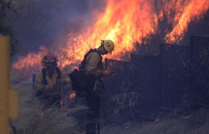 Incendi boschivi: siamo abbastanza preparati?