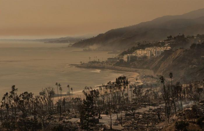 Incendi in California | Incendi a Los Angeles: “Forse domani non avrò una casa” — 98,5 Montreal