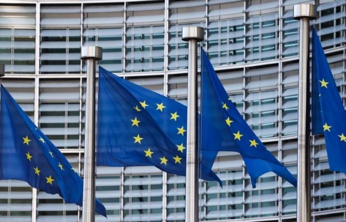 L’Unione Europea “preoccupata” dalle restrizioni statunitensi sulle esportazioni di chip IA specializzati