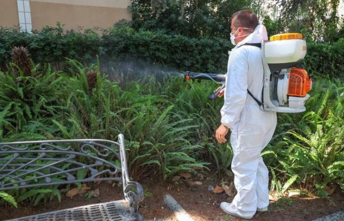 Allerta Chikungunya, l’isola entra in una situazione di crisi