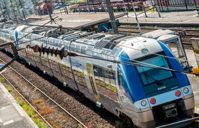 traffico ferroviario interrotto tra Aulnoye-Aymeries e Hirson a causa di un incidente personale