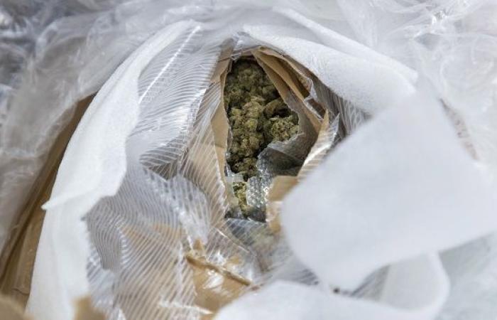 la sua borsa piena di cannabis scivola davanti agli occhi della polizia – LINFO.re