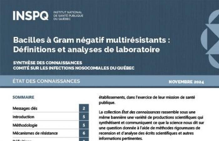 Bacilli Gram-negativi multiresistenti: definizioni e analisi di laboratorio