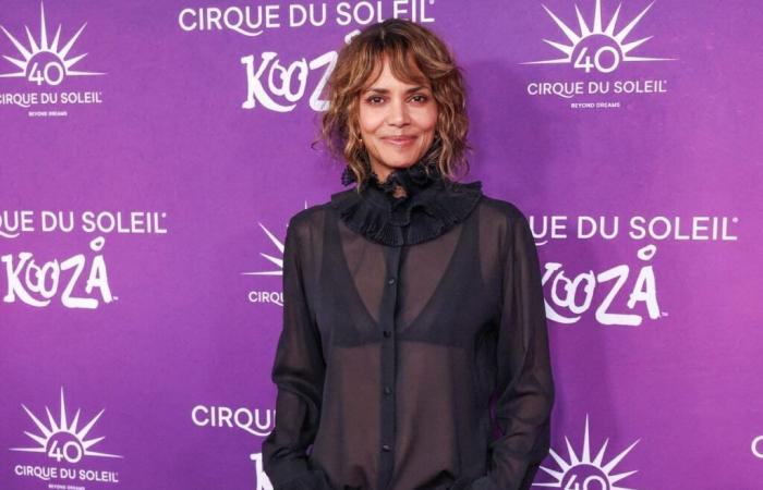 Halle Berry fa una donazione significativa per le vittime