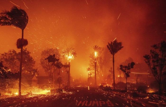 Devastata dagli incendi, Los Angeles spera in una tregua