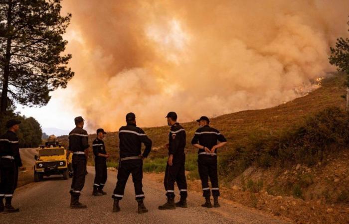 L’incendio nella foresta di Jbel Aghendrou nella provincia di Al Hoceima è stato messo sotto controllo