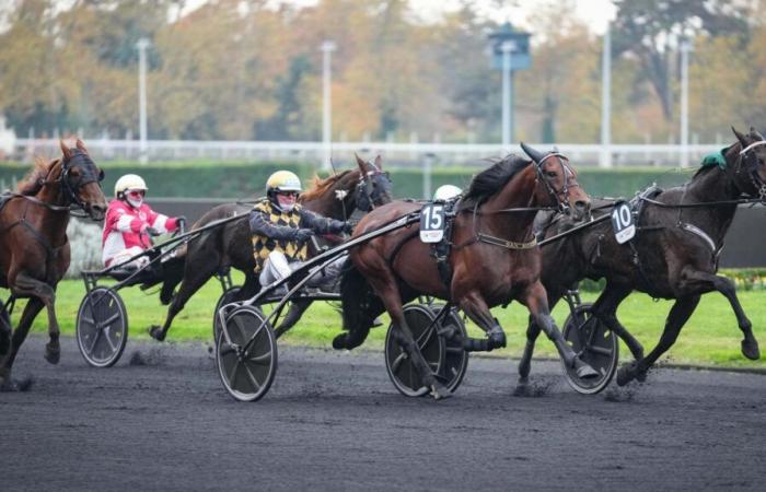 Il Prix d’Amérique Legend Race e l’età ideale