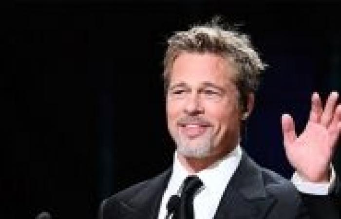 Brad Pitt reagisce alla truffa che ha rovinato Anne