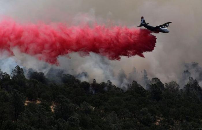 cos’è la polvere rosa lanciata dagli aerei a Los Angeles (ed è tossica)?