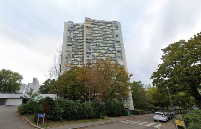 Alto Reno. Le torri Plein ciel minacciate di distruzione finalmente salvate dai tribunali di Mulhouse