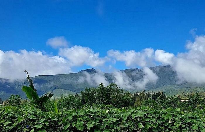 sole questa mattina, nuvole nel pomeriggio e ancora 32-34°C