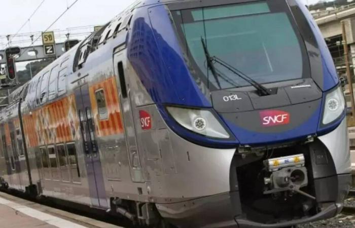 Un’interruzione di corrente colpisce il traffico ferroviario della Costa Azzurra, segnalati ritardi di quasi tre ore