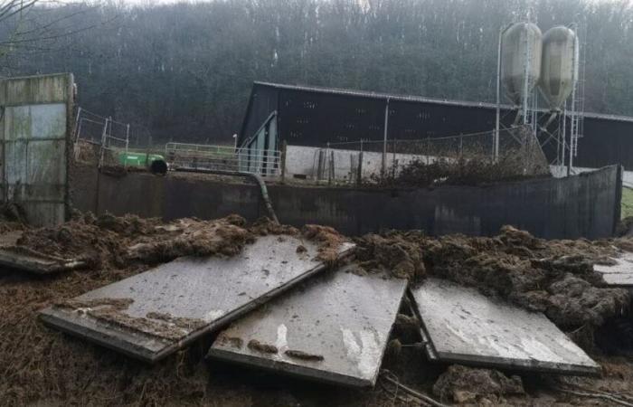 800 m3 di liquame fuoriescono dalla fossa e defluiscono verso la Mosella