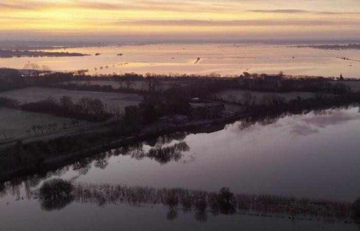 riprendono vita le bianche paludi del Parco Naturale del Cotentin