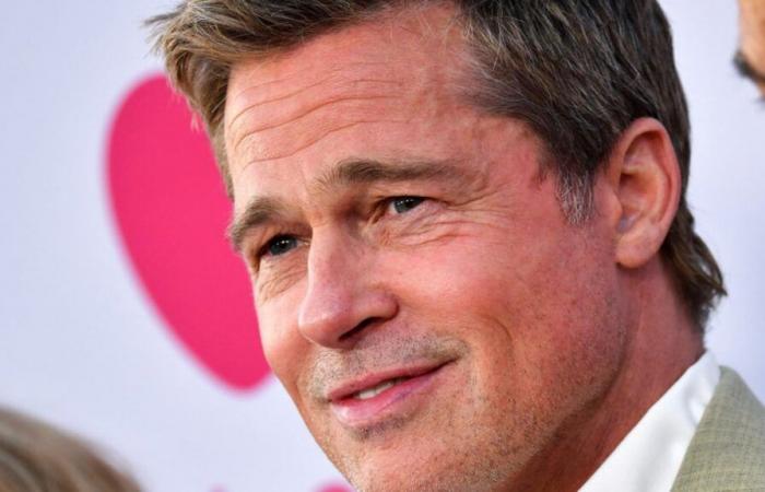 Foto e video falsi, cyberstalking… Vi raccontiamo la storia di Anne, truffata da un falso Brad Pitt