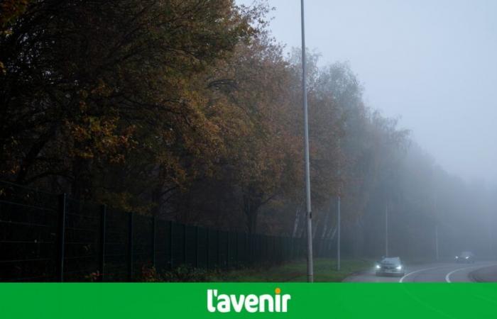 il Paese ha messo in allerta gialla per nebbia per tutta la giornata, la visibilità sulla strada sarà limitata