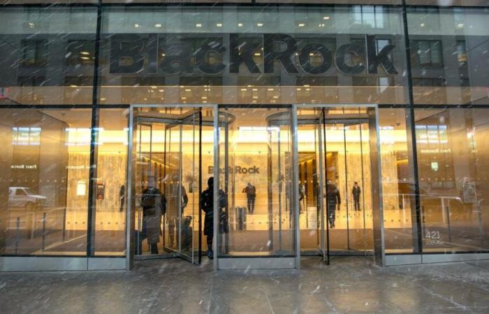 Il fatturato di BlackRock supera i 20 miliardi di dollari nel 2024