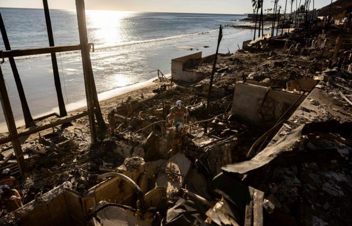 Los Angeles | Nuove raffiche di vento rischiano di alimentare gli incendi