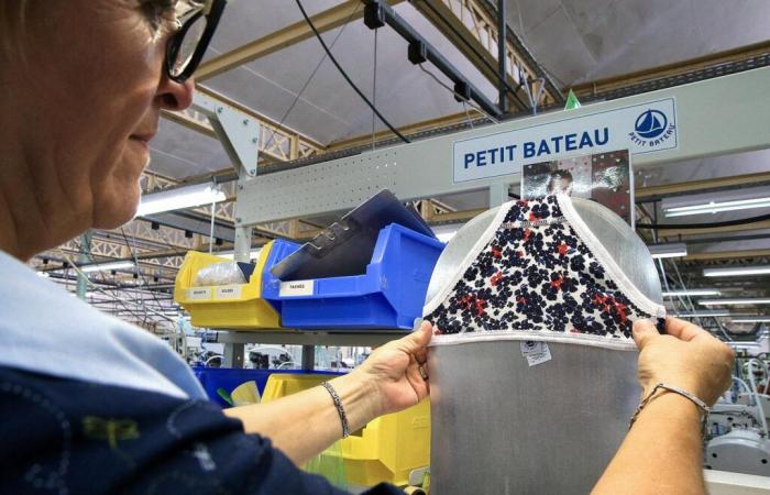 Il gruppo proprietario di Yves Rocher mette in vendita il marchio Petit Bateau