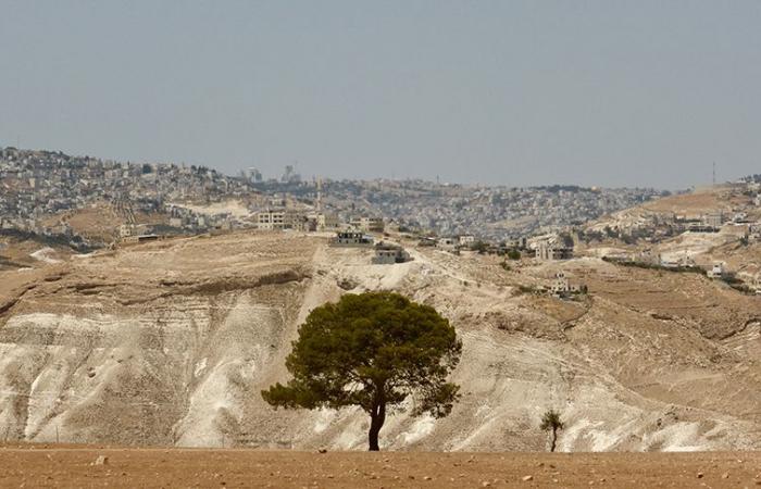 Sostieni un centro palestinese – Il Corriere