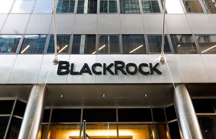 BlackRock supera le aspettative, segnando un anno record