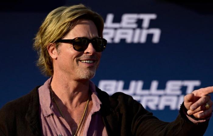 Vittima della falsa truffa di Brad Pitt cyber-molestata