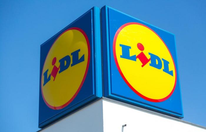 Lidl apre 10 nuovi punti vendita in tutta la Francia, ecco l’elenco