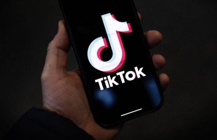 Elon Musk in trattative per acquistare TikTok negli USA, una “pura finzione” secondo la piattaforma