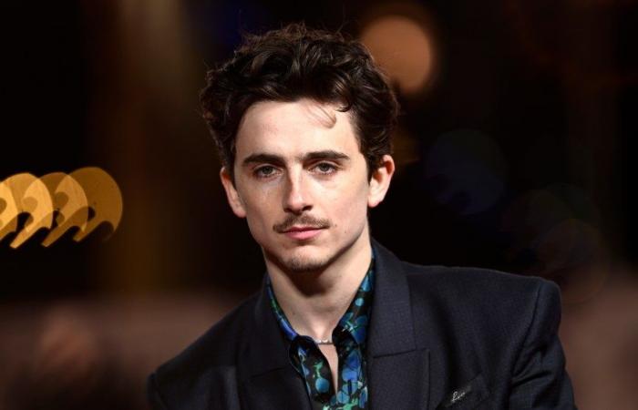 Timothee Chalamet è andato in bicicletta alla première di “A Complete Unknown” ed è stato multato