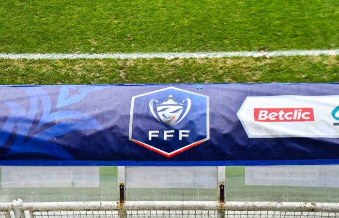 DIRETTA Coupe de France – Troyes in testa contro il Rennes, gli altri club della Ligue 2 in fermento