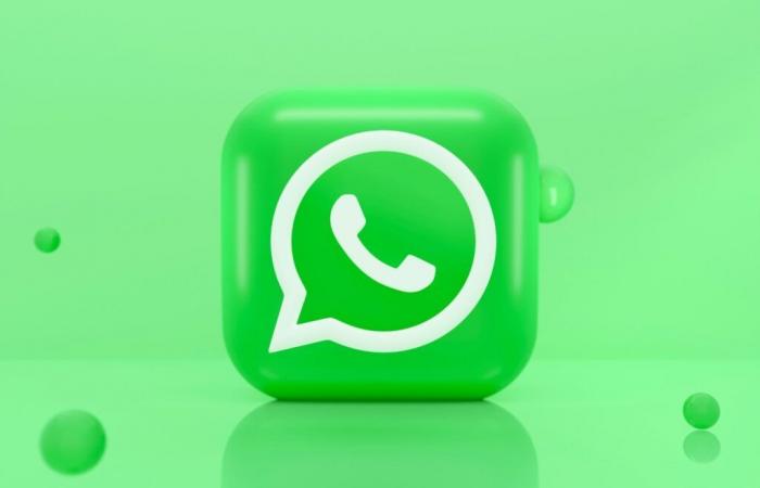 WhatsApp introduce nuovi effetti per le tue foto e introduce gli adesivi selfie