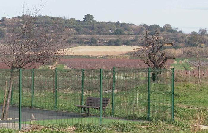 “Non renderemo felici le persone loro malgrado!”, il dipartimento dell’Hérault seppellisce un progetto di ritenzione idrica invernale per i viticoltori