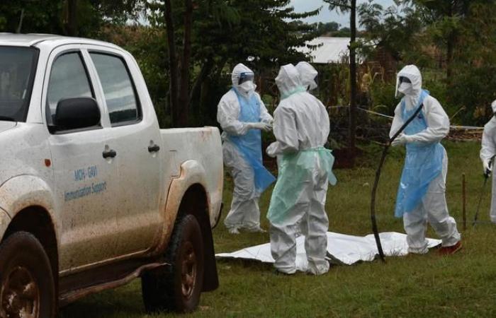 La sospetta epidemia del virus Marburg uccide otto persone nella regione di Kagera (OMS)