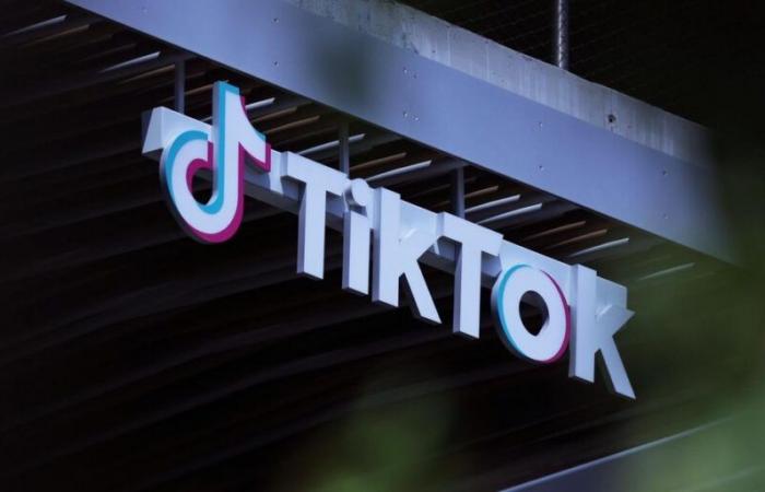 La Cina sta esplorando la possibilità di vendere TikTok a Elon Musk