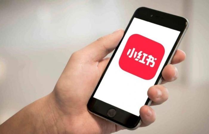 TikTok in disgrazia negli Stati Uniti, il suo concorrente RedNote ne approfitta