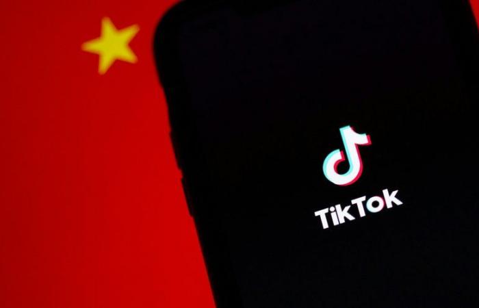 TikTok ha deciso di bloccare l’accesso agli utenti statunitensi a meno che non intervenga la Corte Suprema degli Stati Uniti