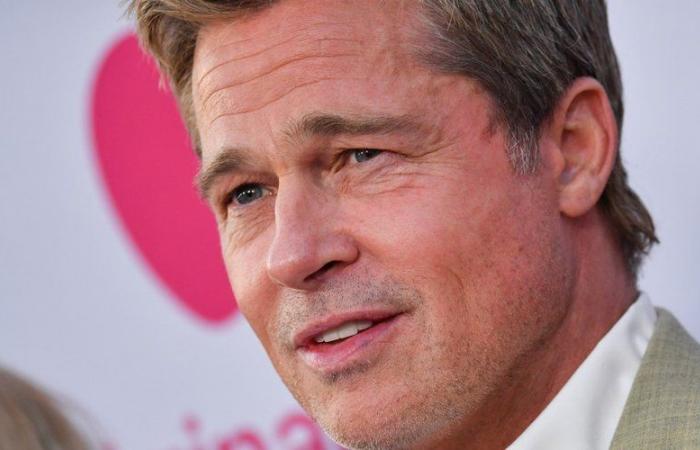 Brad Pitt reagisce dopo la truffa che ha fatto perdere 830.000 euro ad Anne, una donna francese, raccontata a “Sept à Huit” su TF1