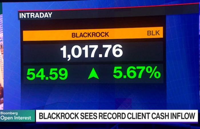 BlackRock prende il suo posto come colosso del settore pubblico-privato