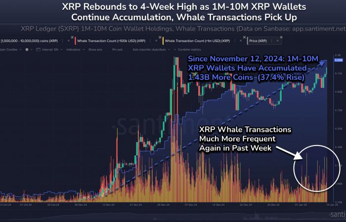 Ecco cosa è successo on-chain prima che XRP salisse a $ 2,87