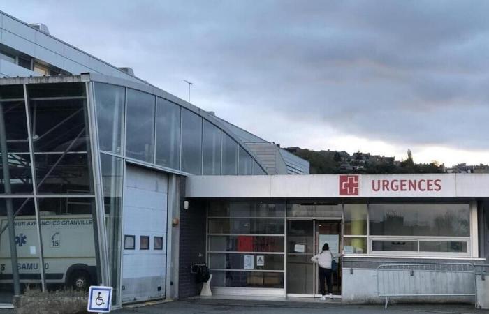 Sempre su un piano bianco, gli ospedali della Manica del Sud lavorano in rete per far fronte alle epidemie