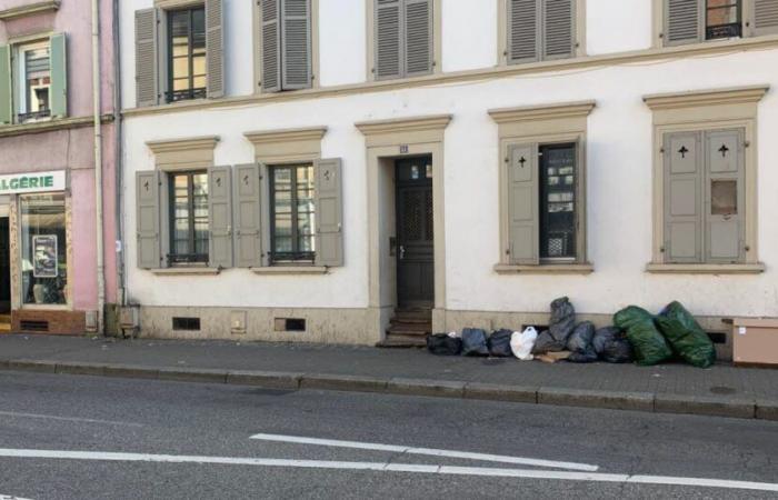 Assise dell’Alto Reno. Femminicidio a Mulhouse: povertà, violenza e avidità